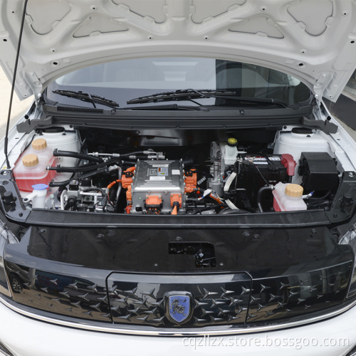 Zolala 2022 Dongfeng S60 EV Gratis-To-Go Automobile 0 km tweedehands auto elektrisch voertuig goedkope geprijsde compacte auto